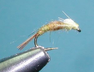 Barr Emerger