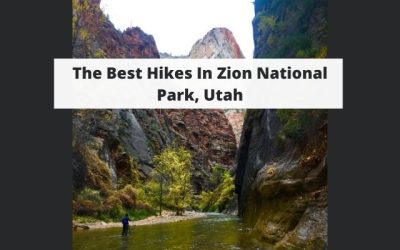 The Best Hikes In Zion National Park, Utah