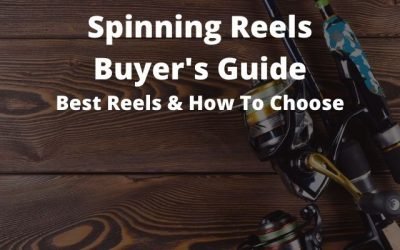 Spinning Reel Buyer’s Guide: Best of 2024 [And How To Choose]