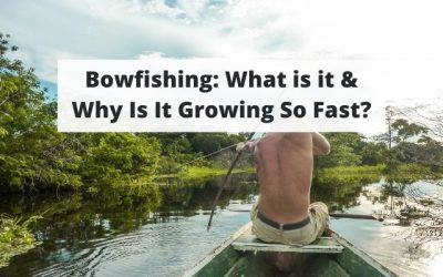 Why Bowfishing is Gaining in Popularity