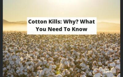 Cotton Kills: Why? What You Need To Know