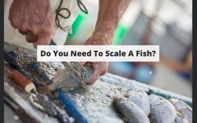 Scaling a Fish: Do You Have to Do It Before Cooking?