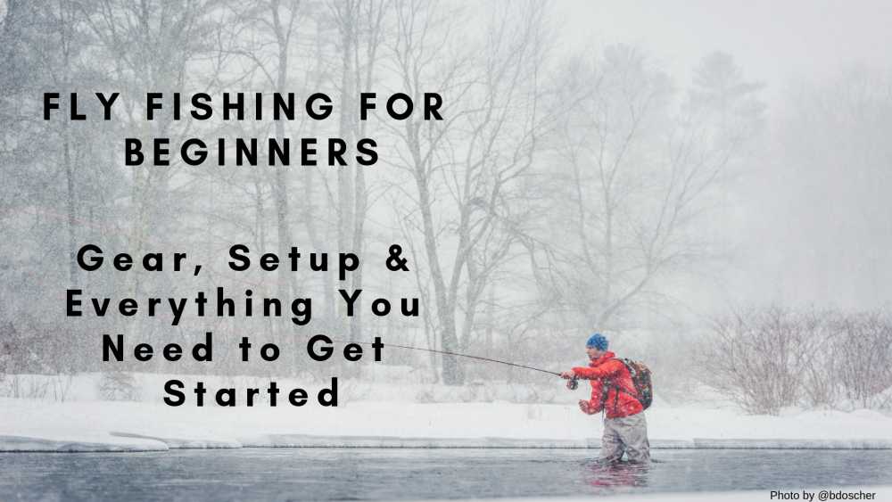Fly Fishing for Beginners