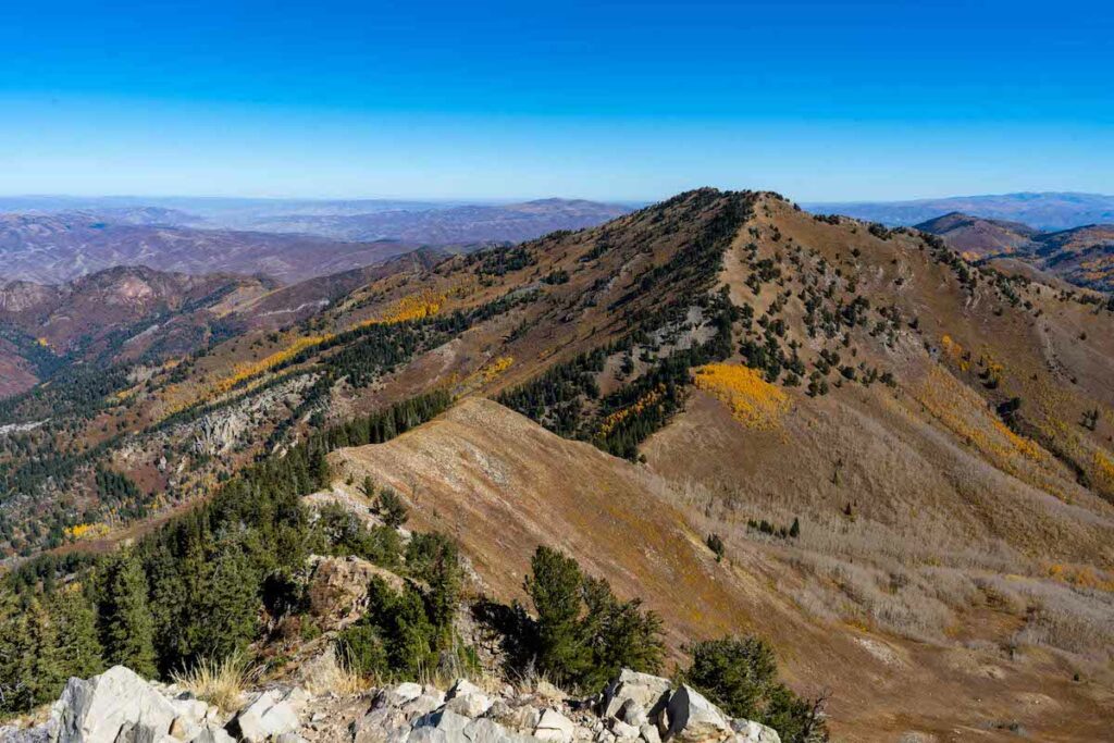 Gobbler's Knob as seen from the summit of Mount Raymond