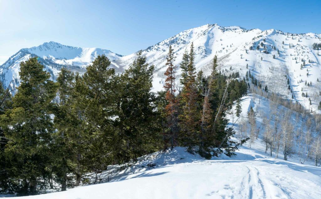 Gobblers Knob from Circle All Peak in winter