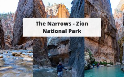 The Narrows – Zion National Park