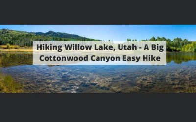 Hiking Willow Lake, Utah – A Big Cottonwood Canyon Easy Hike