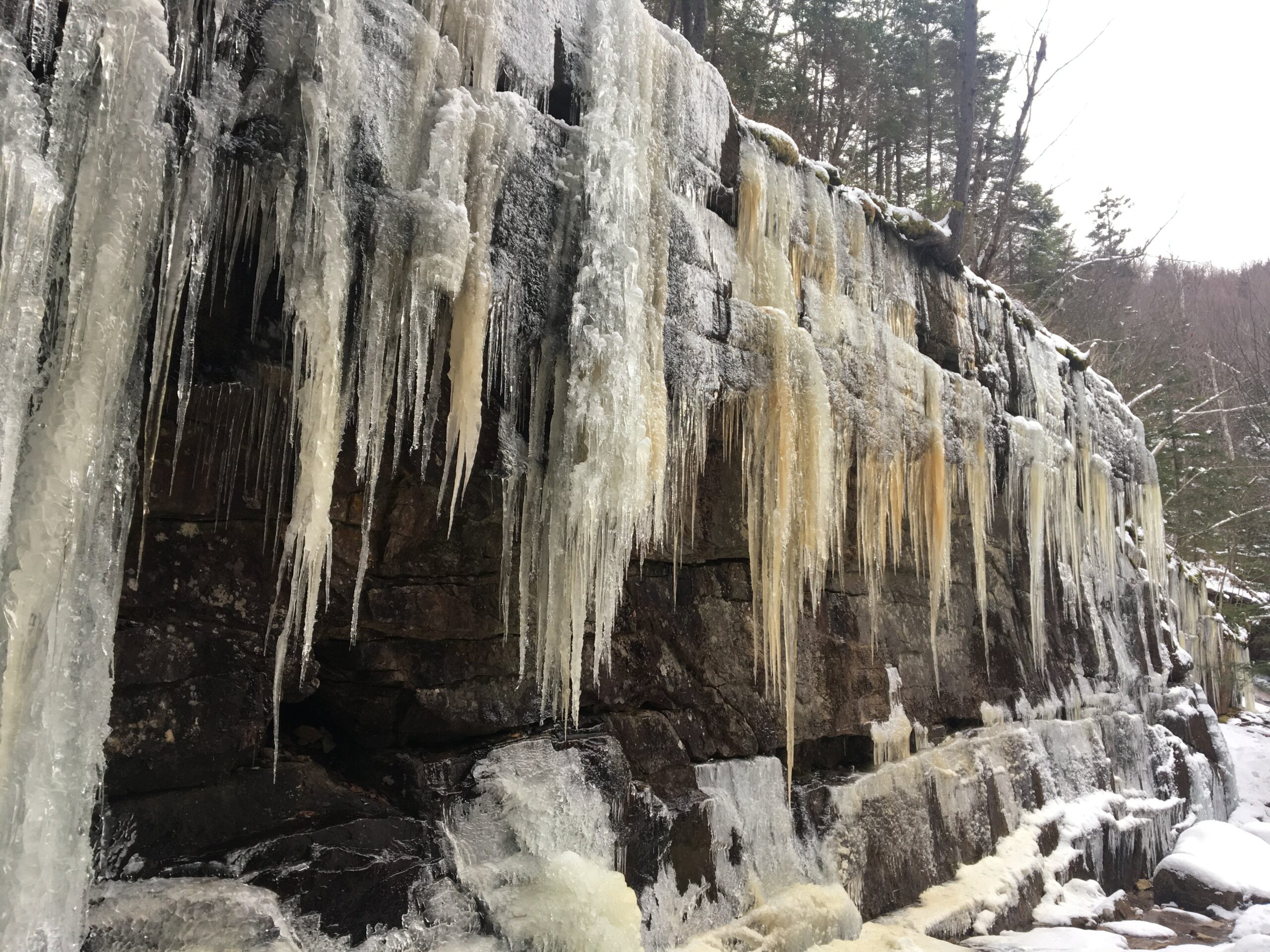Top 9 Easy Hikes in NH – The Complete Guide
