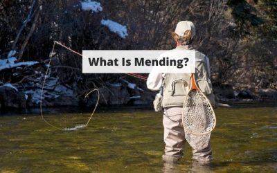 What Is Mending In Fly Fishing? Everything You Should Know