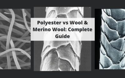 Polyester vs Wool & Merino Wool: Complete Guide