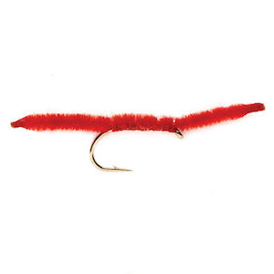 San Juan Worm