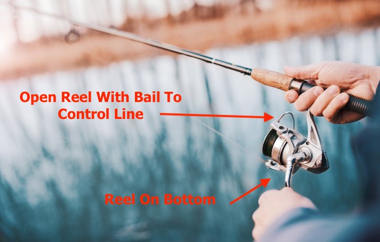 Spin Fishing Rod