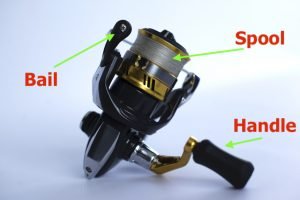 Spinning Reel Parts