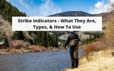 Strike Indicators – What They Are, Types, & How To Use
