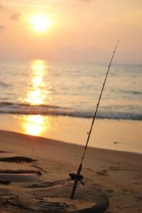 Surf Fishing Rod