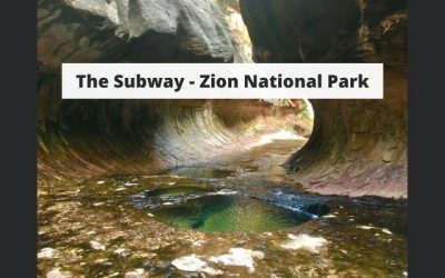 The Subway – Zion National Park