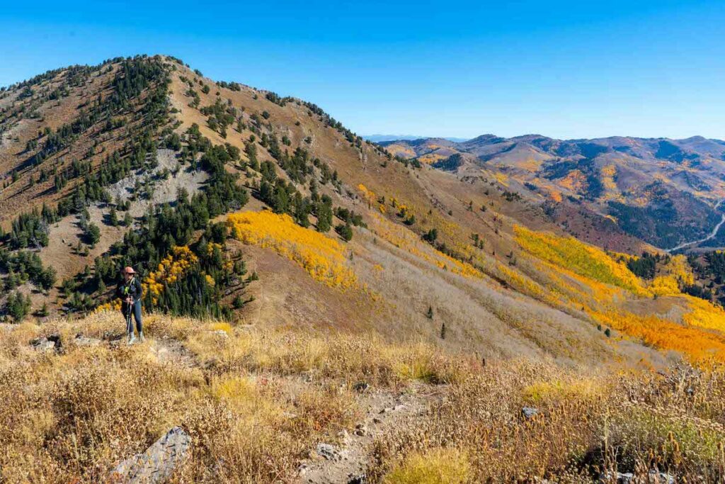 Views of Gobbler's Knob on the ridge towards Mount Raymond