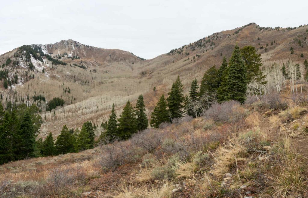 Views of Mill A Basin below Gobblers Knob and Mount Raymond