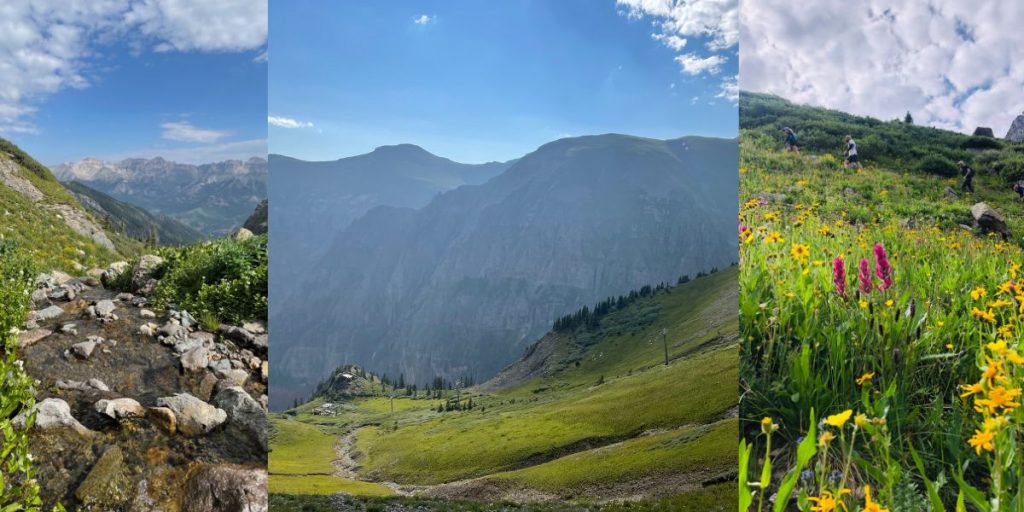 Wasatch Trail