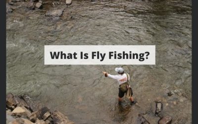 What Is Fly Fishing? – Your 101 Guide & Everything You Should Know