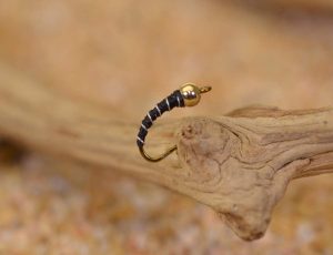Zebra Midge