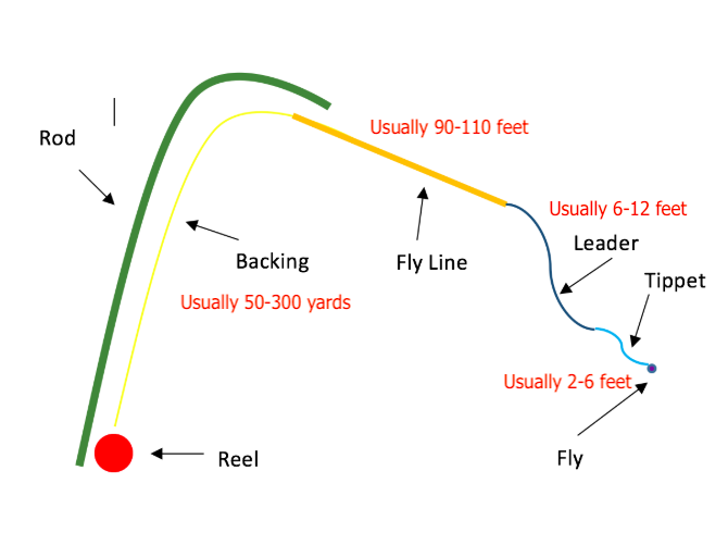 Fly Rod Setup